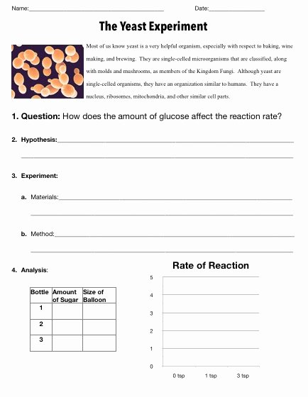 Photosynthesis and Respiration Worksheet Best Of Teaching the Kid Synthesis and Respiration
