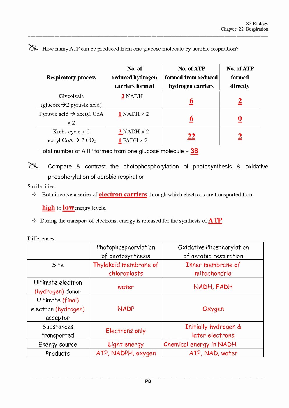 Photosynthesis and Respiration Worksheet Elegant Synthesis and Cellular Respiration Worksheet Answer