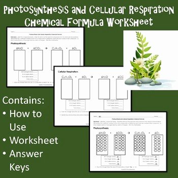 Photosynthesis and Respiration Worksheet Unique Synthesis and Cellular Respiration Chemical formula