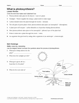 Photosynthesis Diagrams Worksheet Answers Beautiful Stock S Free Synthesis Quiz with Answers