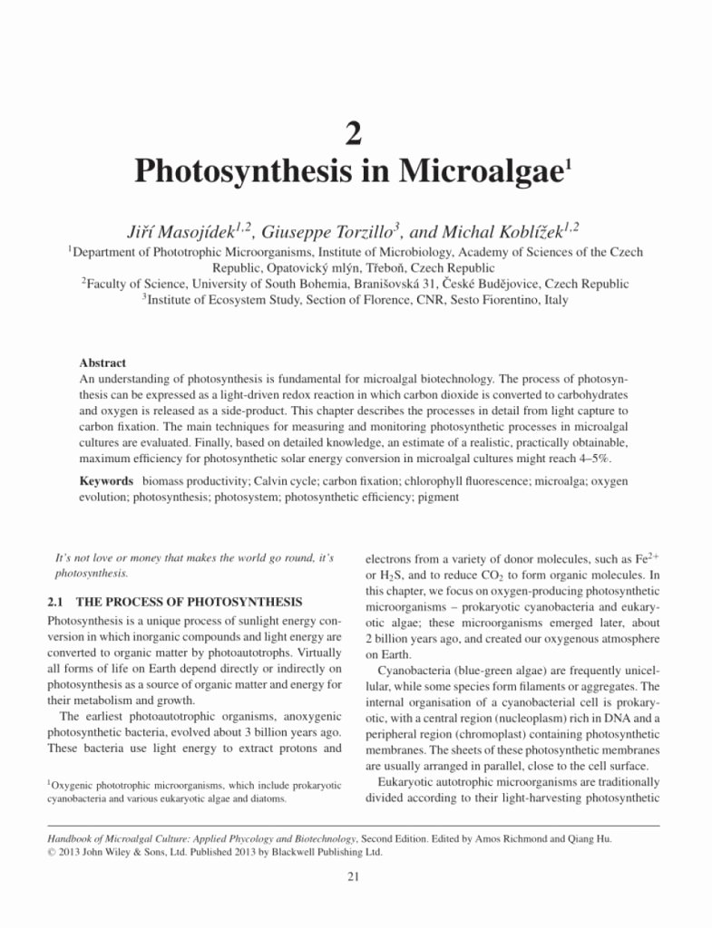 Photosynthesis Diagrams Worksheet Answers Best Of Simple Pdf Synthesis In Microalgae E Example From