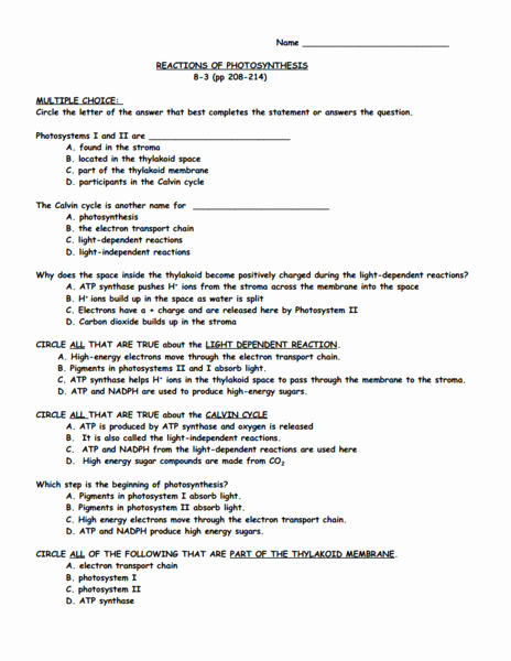 Photosynthesis Diagrams Worksheet Answers Fresh Reactions Of Synthesis Worksheet for 9th 12th Grade