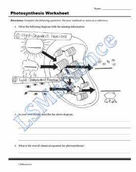 Photosynthesis Diagrams Worksheet Answers Fresh Synthesis Worksheet by Lsmscience