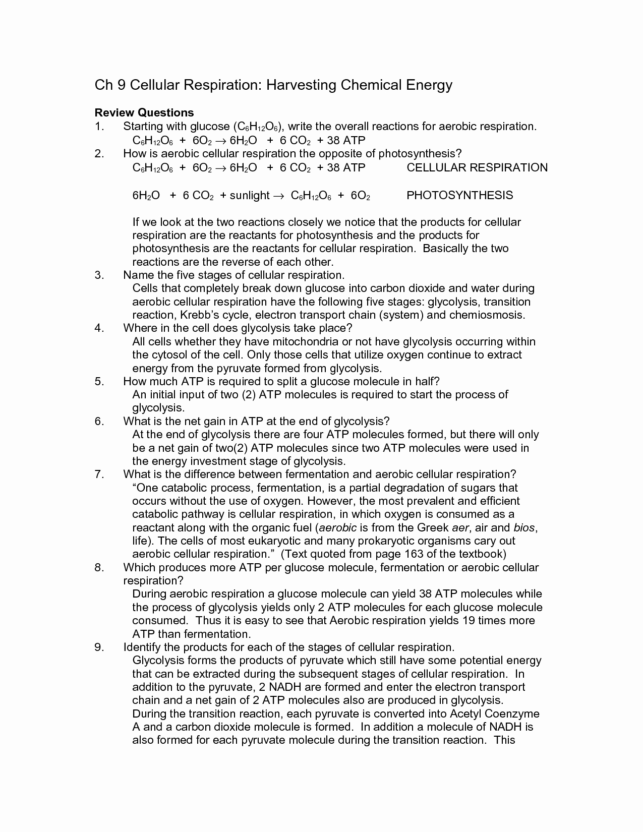 Photosynthesis Diagrams Worksheet Answers Inspirational 17 Best Of Synthesis Review Worksheet