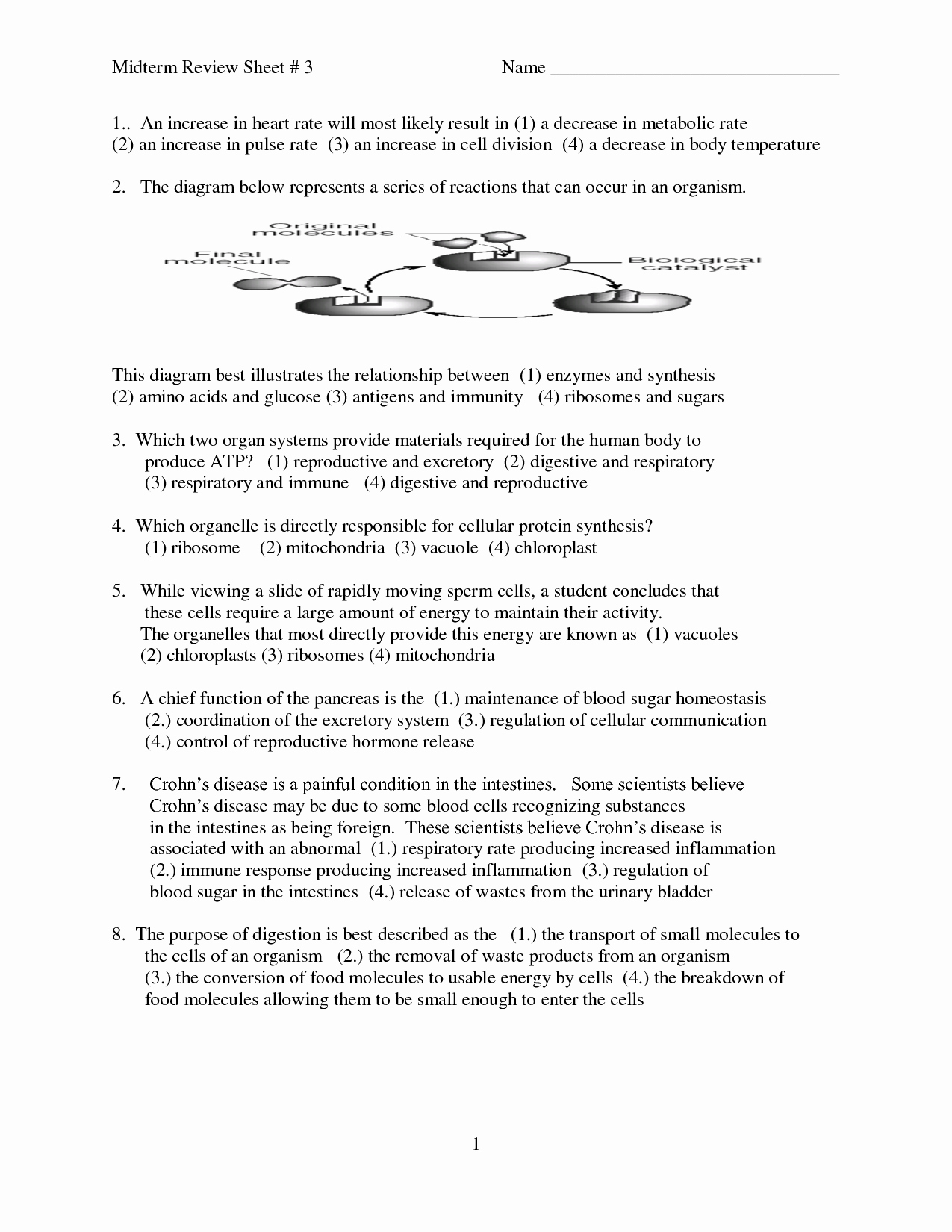 Photosynthesis Diagrams Worksheet Answers Luxury 17 Best Of Synthesis Review Worksheet