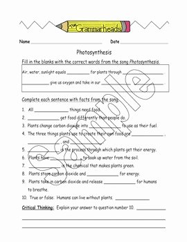 Photosynthesis Worksheet Answer Key Elegant Synthesis Worksheet Packet and Lesson Plan 4