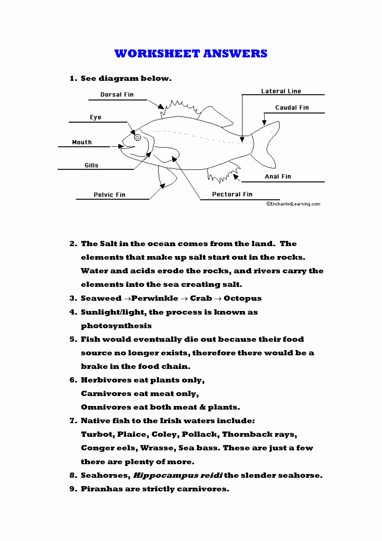 Photosynthesis Worksheet Answer Key New 10 Best Of Synthesis Starts with Worksheet