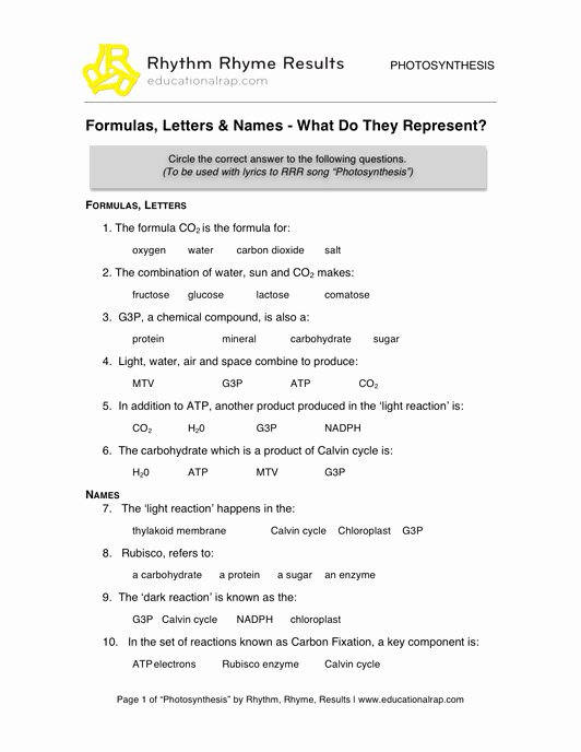 Photosynthesis Worksheet High School