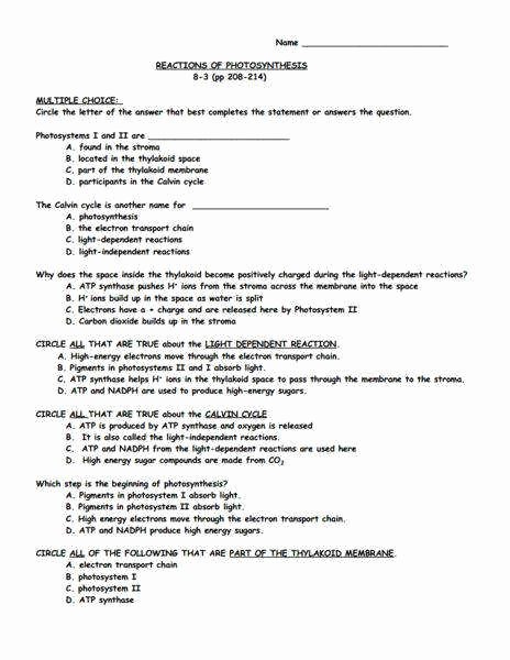 Photosynthesis Worksheet High School Beautiful Synthesis Worksheet Answers