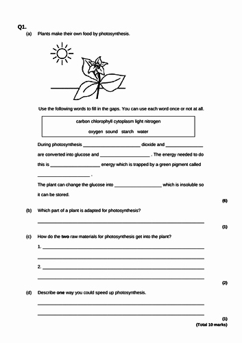 Photosynthesis Worksheet High School Lovely Aqa Gcse B8 Synthesis Selection Of Exam Questions