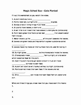 Photosynthesis Worksheet High School Lovely Magic School Bus Gets Planted Photosynthesis Worksheet