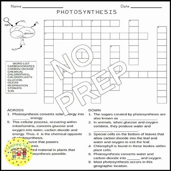 Photosynthesis Worksheet High School Unique Synthesis Crossword Puzzle by Teaching Tykes