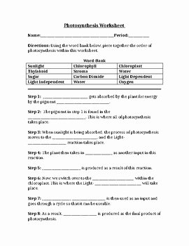 Photosynthesis Worksheet High School Unique Synthesis Worksheet Fill In the Blanks by Science
