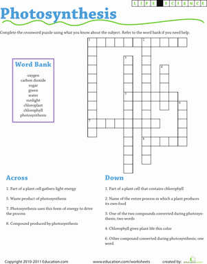 Photosynthesis Worksheet Middle School Awesome Life Science Crossword Synthesis
