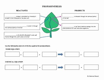 Photosynthesis Worksheet Middle School Beautiful Photosynthesis Worksheet Sc 912 L 18 7 &amp; Sc 912 L 18 9