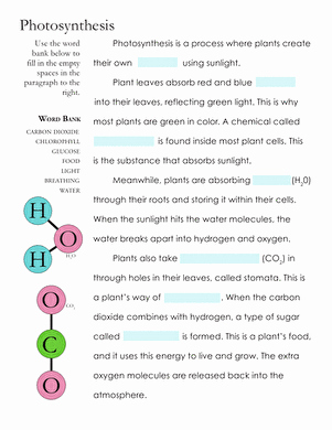 Photosynthesis Worksheet Middle School Best Of Synthesis Fill In the Blank Worksheet