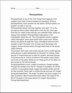 Photosynthesis Worksheet Middle School Elegant 13 Best Of 6th Grade Synthesis Worksheet