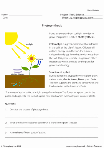 Photosynthesis Worksheet Middle School Elegant Ks2 Science Worksheet Synthesis by Primaryleap