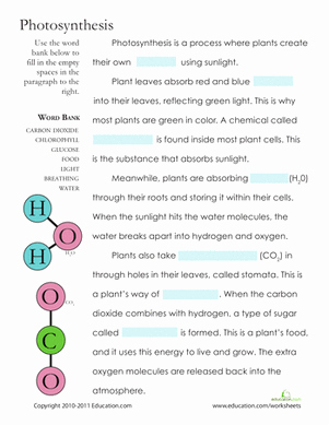 Photosynthesis Worksheet Middle School Elegant Synthesis Fill In the Blank