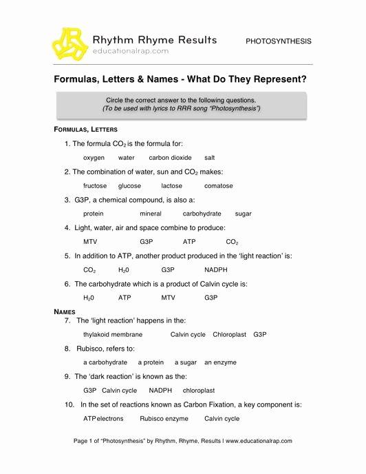 Photosynthesis Worksheet Middle School Unique Stock S Free Synthesis Worksheets Middle School
