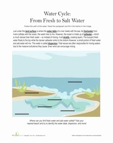 Planet Earth Freshwater Worksheet Answers Unique 1000 Images About Science On Pinterest