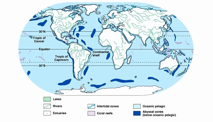 Planet Earth Freshwater Worksheet Fresh Aquatic Biomes Of the World the Pelagic Zone is Open