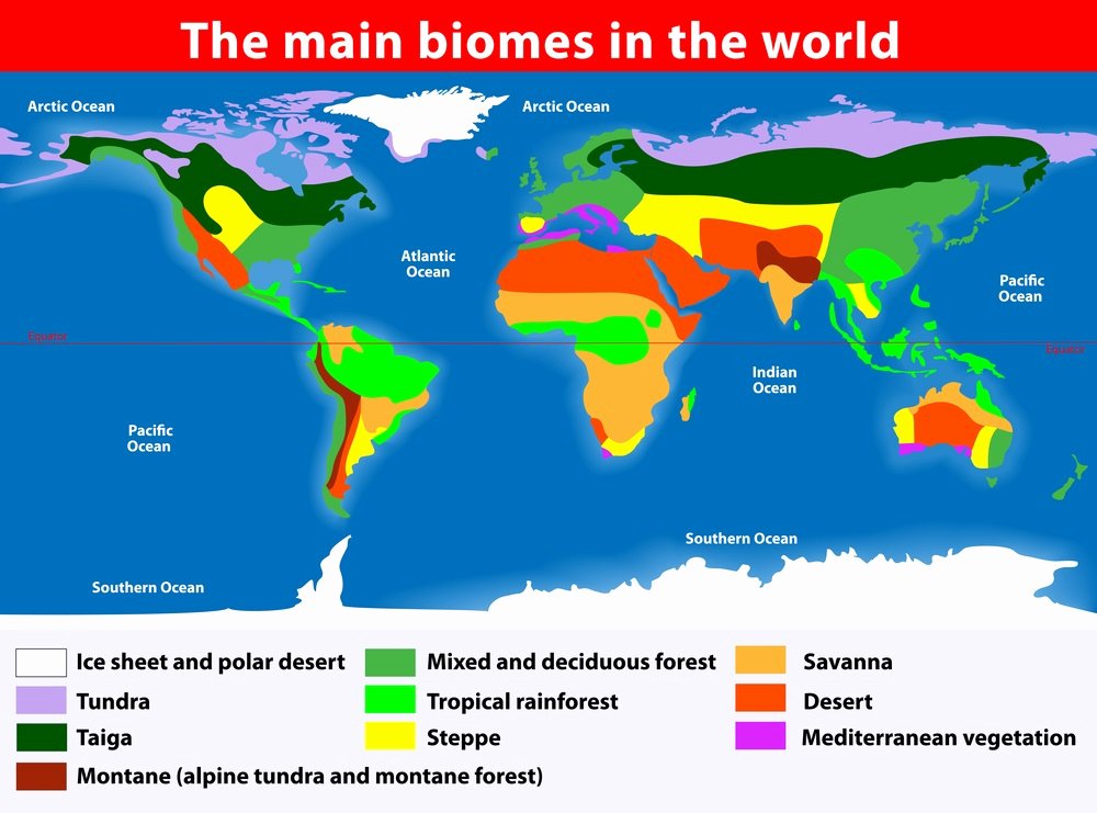 Planet Earth Freshwater Worksheet Luxury World Biomes