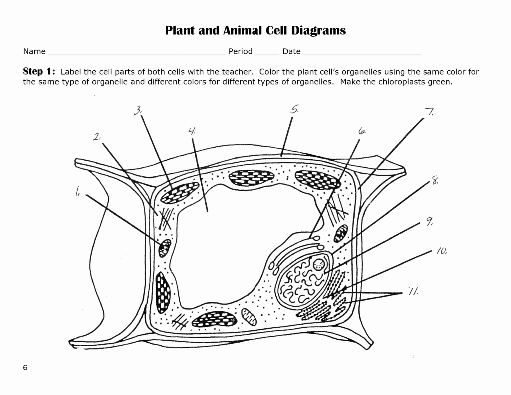 Plant Cell Coloring Worksheet Beautiful Label Plant Cell Worksheet 5 Biological Science Picture