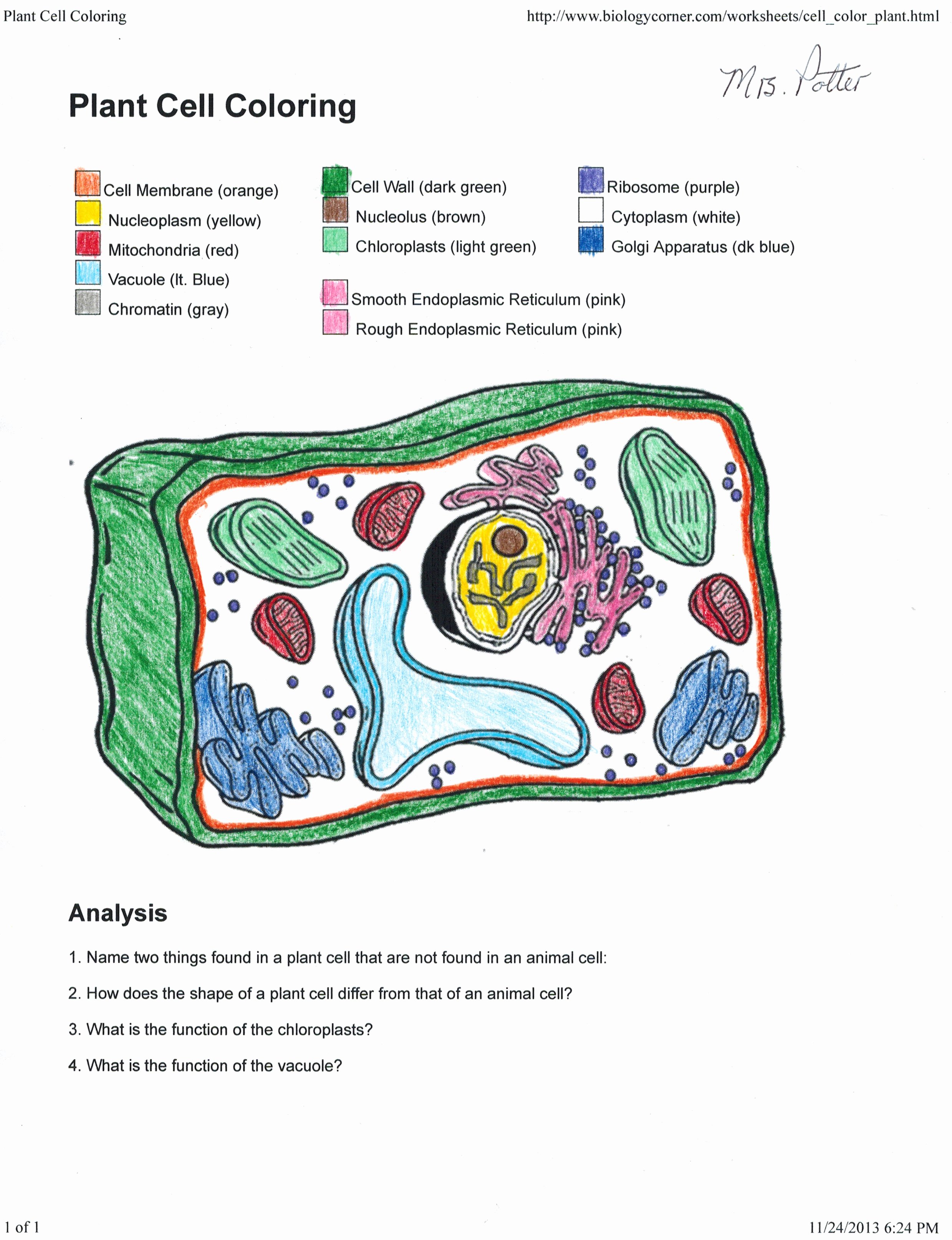 Plant Cell Coloring Worksheet Elegant Apologia Biology