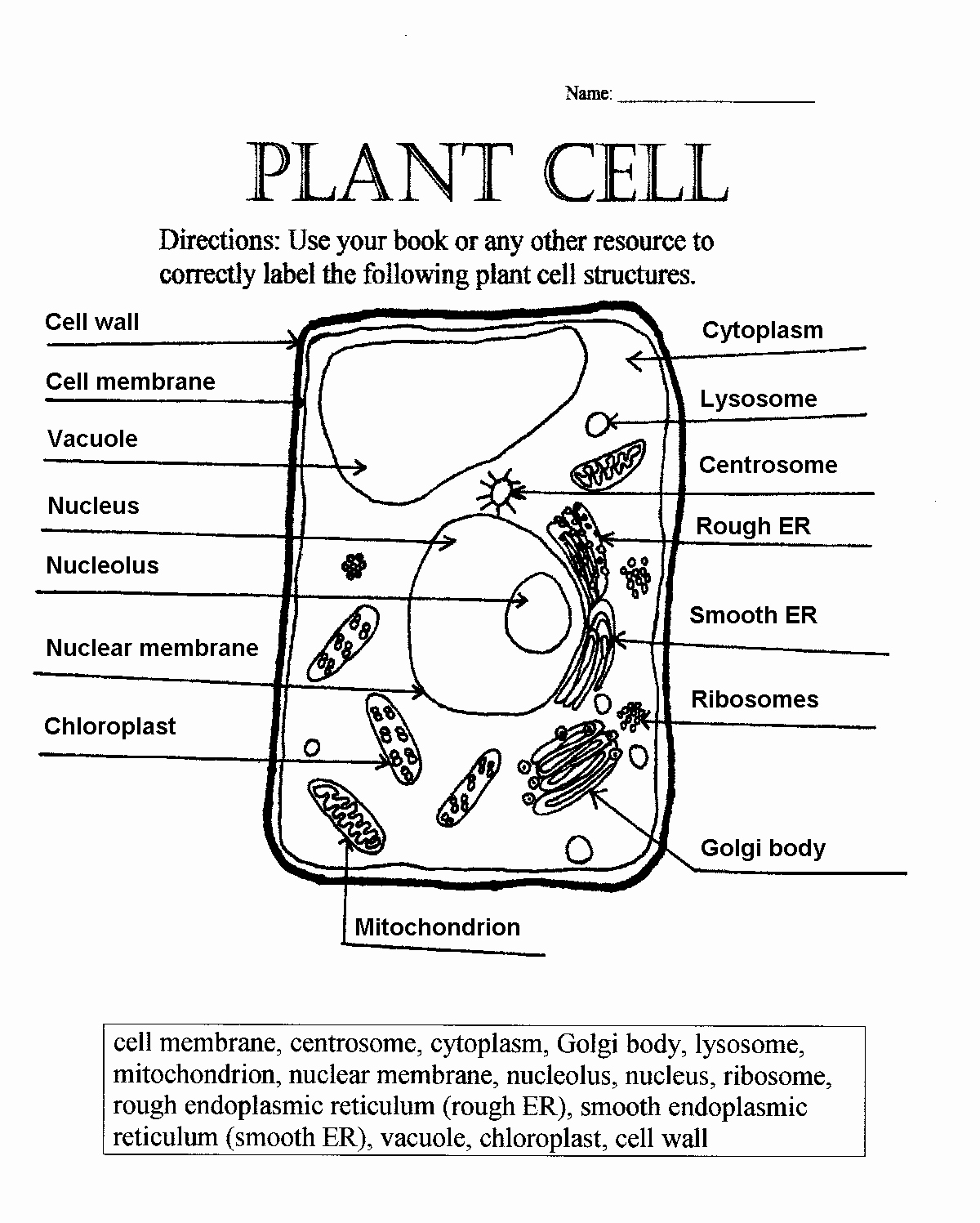 Plant Cell Coloring Worksheet Unique Plant Cell Parts Worksheet with Word Bank