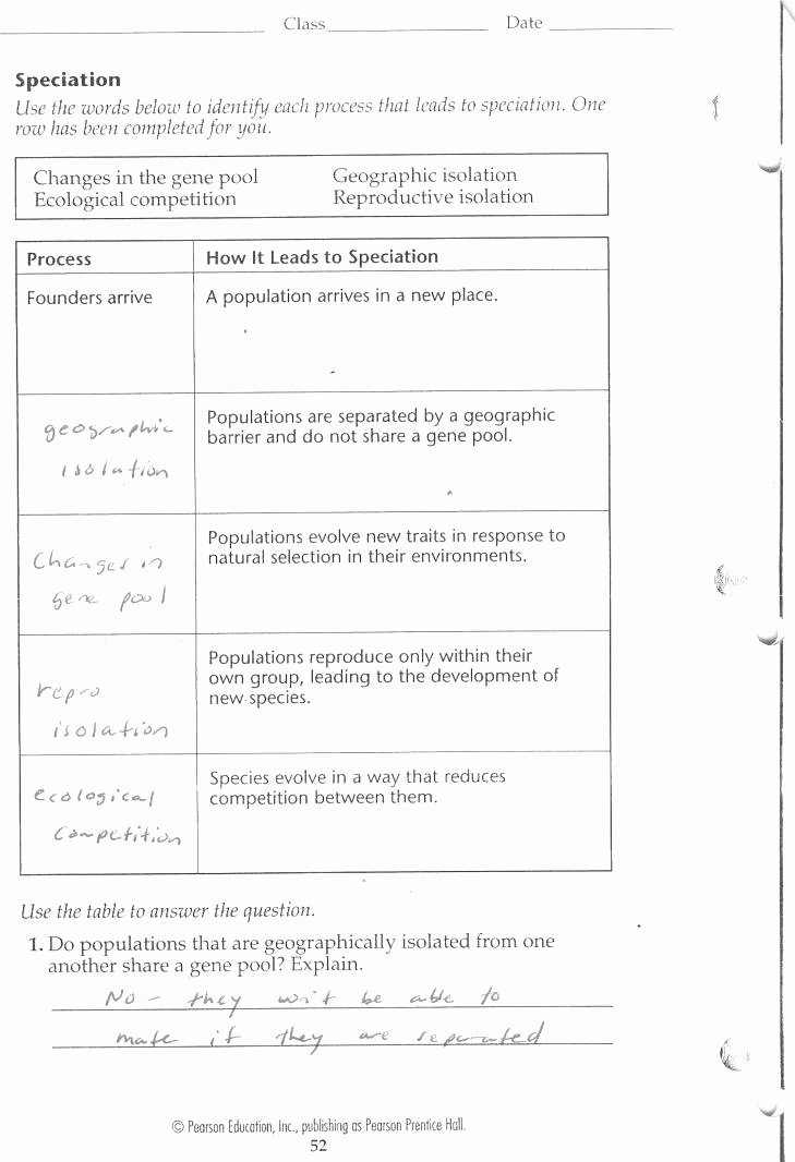 Plant Cell Worksheet Answers Elegant 12 Beautiful Animal Cells Worksheet Answers Maotme Life