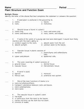 Plant Parts and Functions Worksheet Awesome Plant Structure and Function Exam by Lisa Michalek