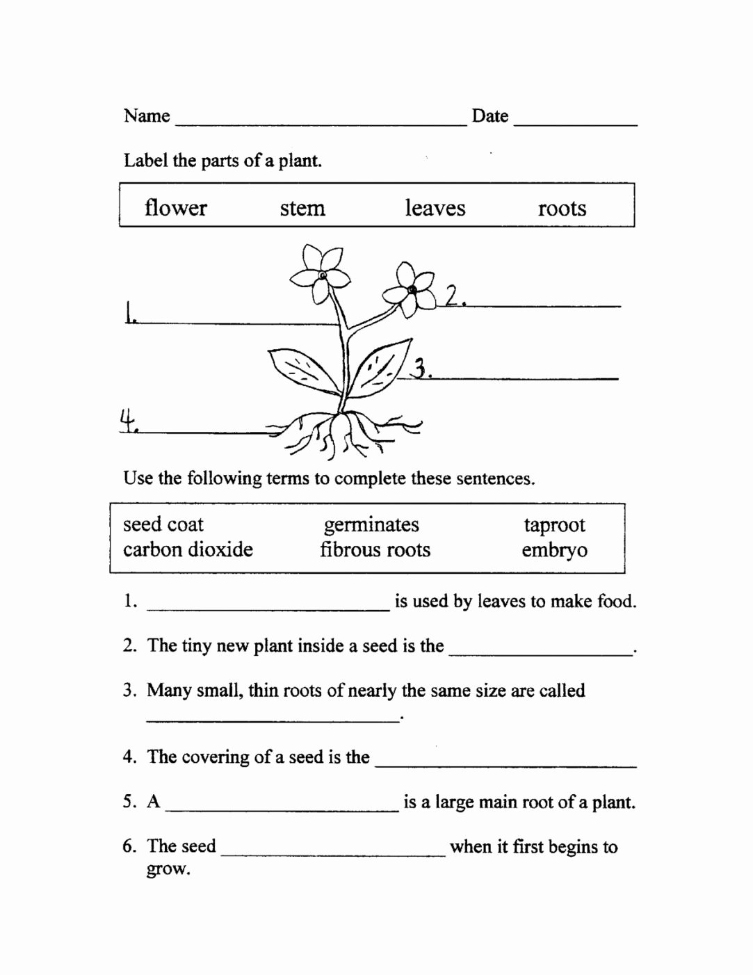Plant Parts and Functions Worksheet Inspirational Flower Parts Printable Worksheet Flowers Healthy