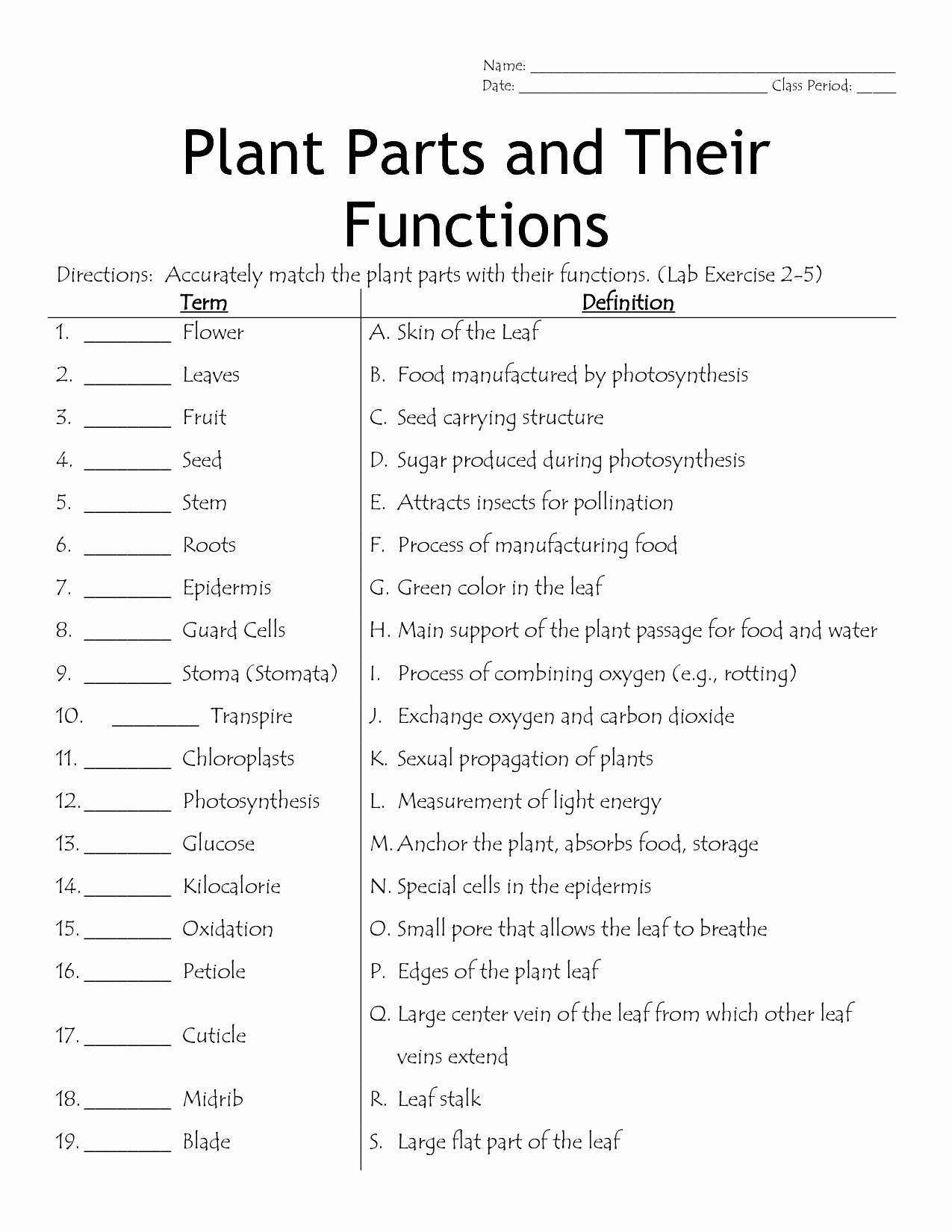 Plant Parts and Functions Worksheet Unique 13 Best Of Plant Structure and Function Worksheet