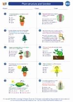Plant Parts and Functions Worksheet Unique Plant Structure and Function Biology Worksheets and Study