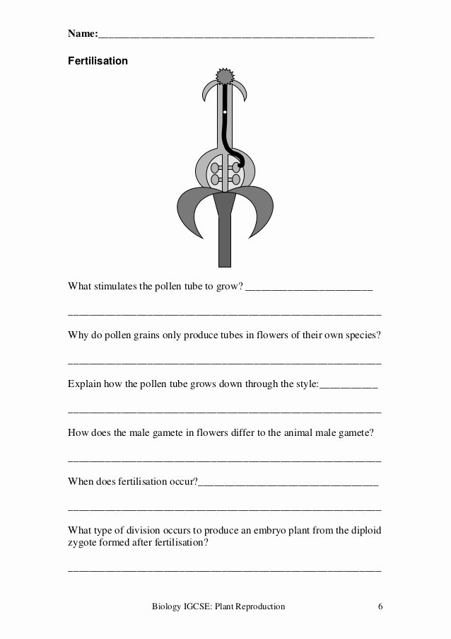 Plant Reproduction Worksheet Answers Awesome Plant Reproduction Worksheet