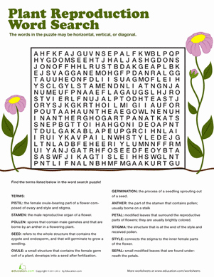 Plant Reproduction Worksheet Answers Beautiful Flowers In Love Word Search Worksheet