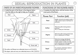 plant reproduction worksheet pack