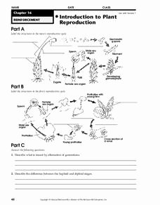 Plant Reproduction Worksheet Answers Best Of Introduction to Plant Reproduction Worksheet for 9th