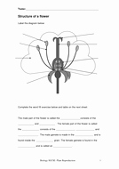 Plant Reproduction Worksheet Answers Best Of Worksheets and Presentation for Plant Reproduction by