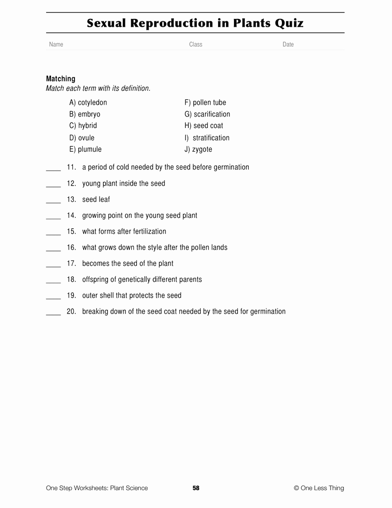 Plant Reproduction Worksheet Answers Elegant Plant Science E Step Worksheet Downloads E Less Thing