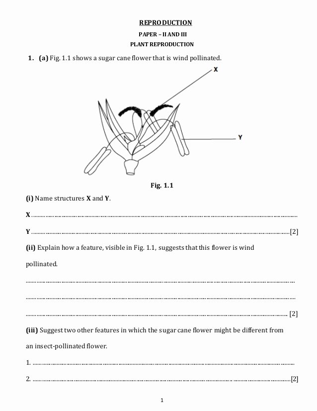 Plant Reproduction Worksheet Answers Fresh Reproduction Practice Questions Plant Focus