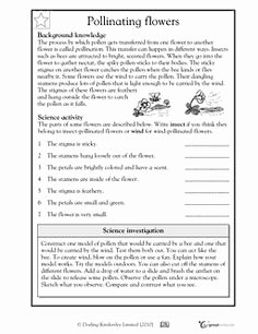 Plant Reproduction Worksheet Answers Fresh This Worksheet Describes the Parts Of the Flower Students