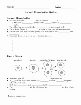 Plant Reproduction Worksheet Answers Lovely A Ual Reproduction Notes Outline Lesson Plan by Lisa
