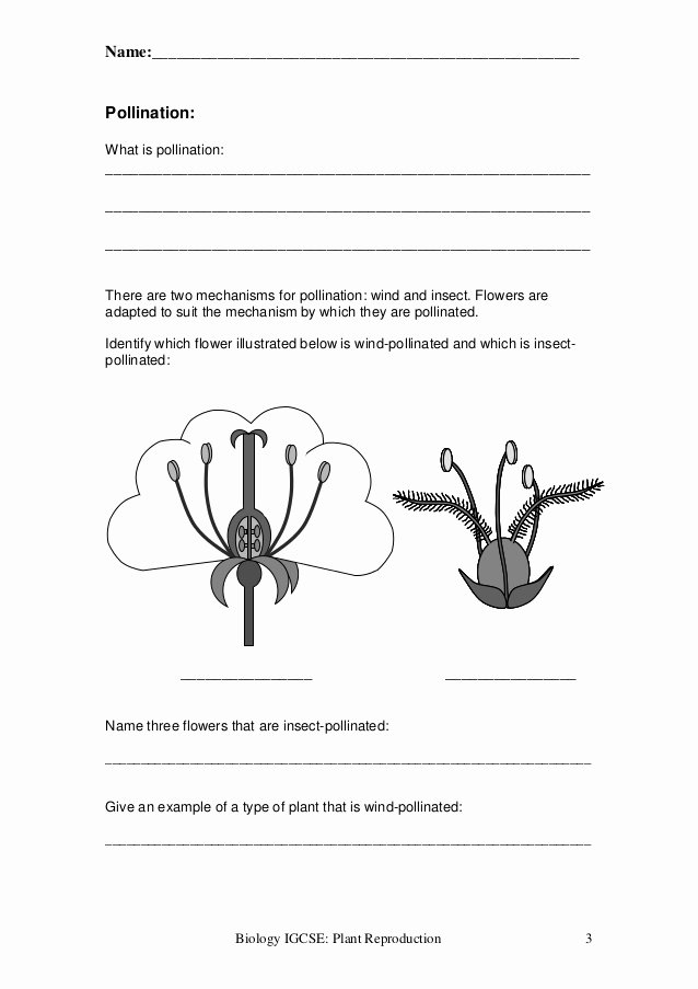 Plant Reproduction Worksheet Answers Lovely Plant Reproduction Worksheet
