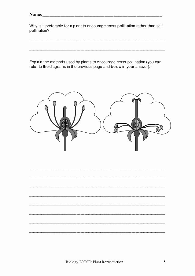 Plant Reproduction Worksheet Answers New Plant Reproduction Worksheet