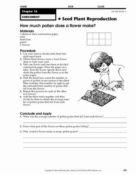 Plant Reproduction Worksheet Answers Unique Seed Plant Reproduction Worksheet for 4th 8th Grade