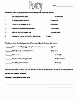 Poetic Devices Worksheet 1 Best Of Elements Of Poetry Worksheet by Laurie Nelson