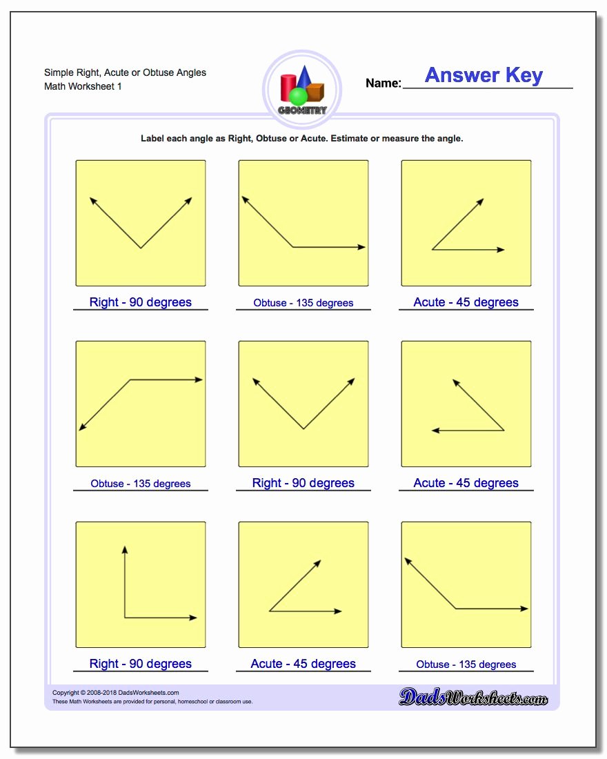 50 Polygon And Angles Worksheet