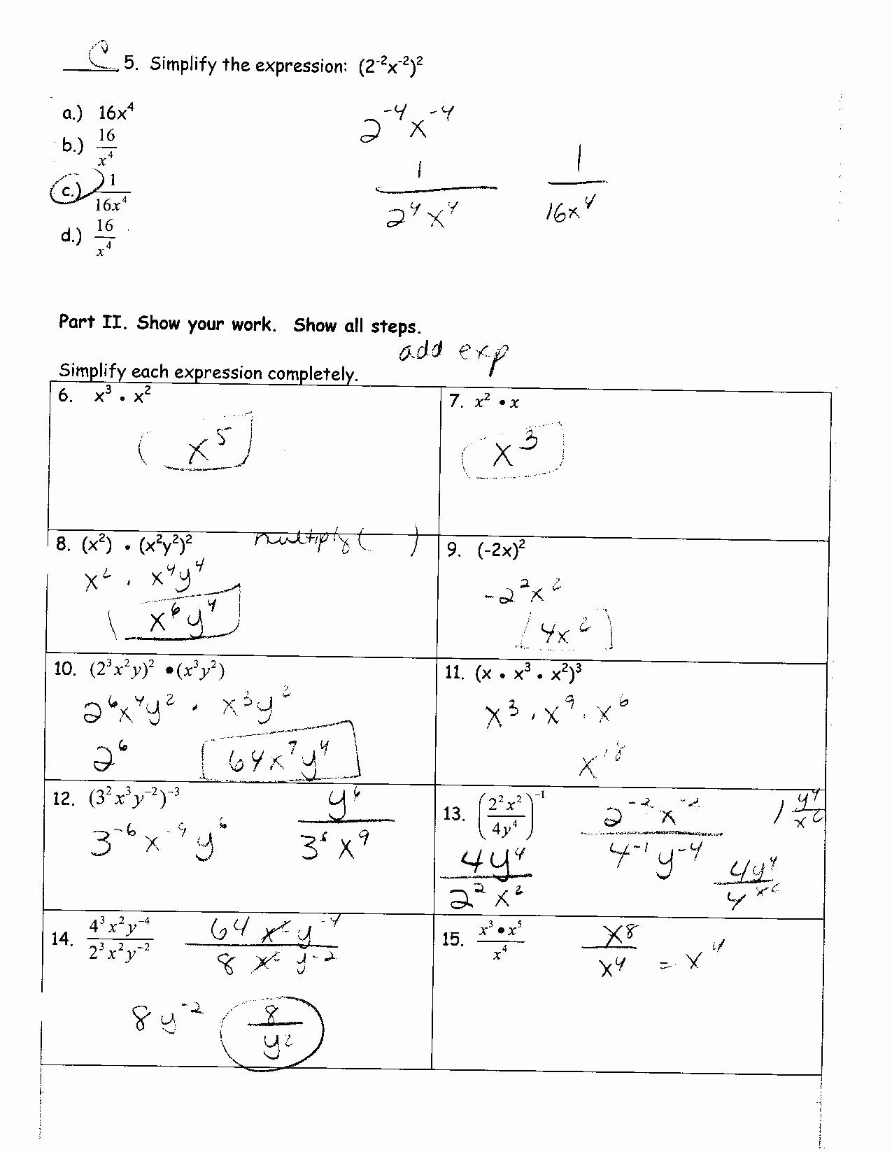 Polynomials Worksheet with Answers Luxury Factoring Polynomials Worksheet with Answers
